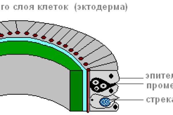 Почему не работает кракен сегодня