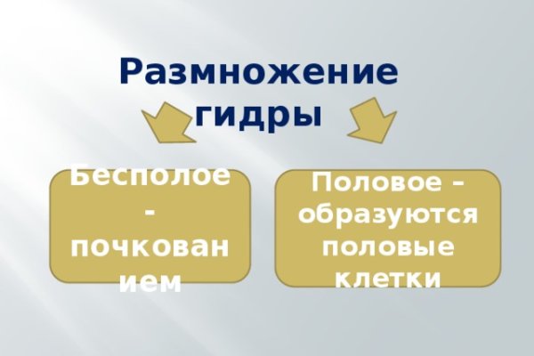 Кракен это современный даркнет маркетплейс