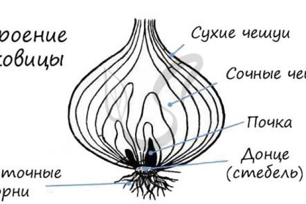 Действующая ссылка на кракен